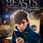 Fantastic Beasts And Where To Find Them | On Set Physios | The Flying Physios